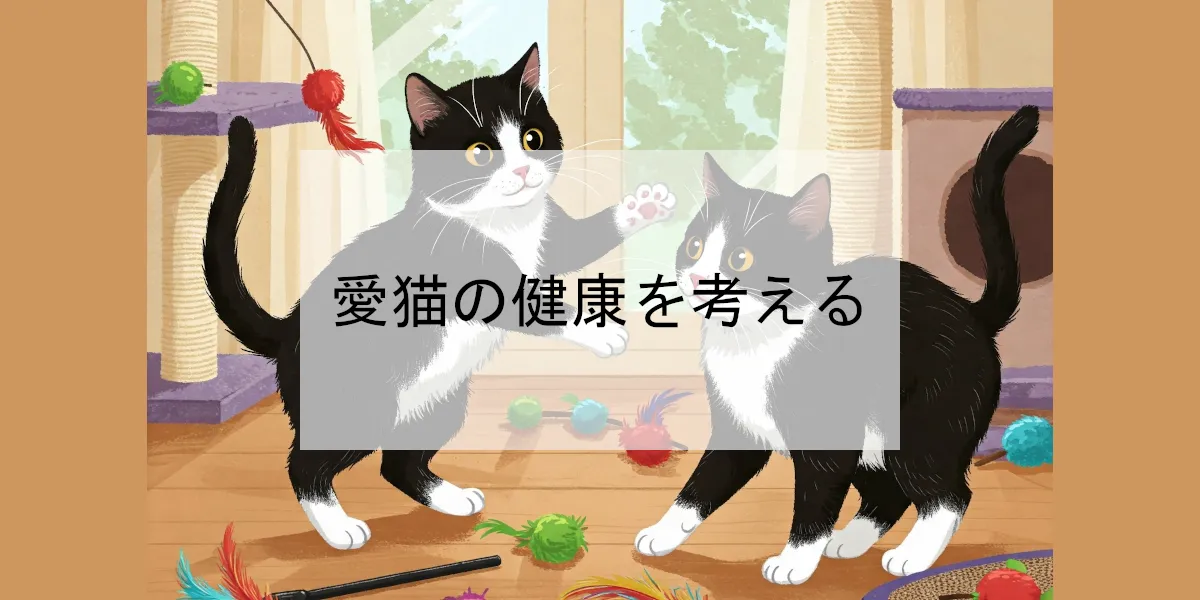 愛猫の健康を考える
