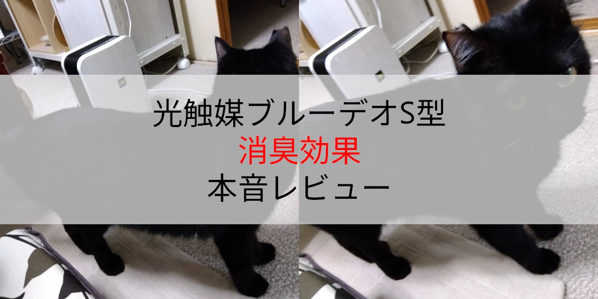 ブルーデオS型の消臭効果と本音レビュー
