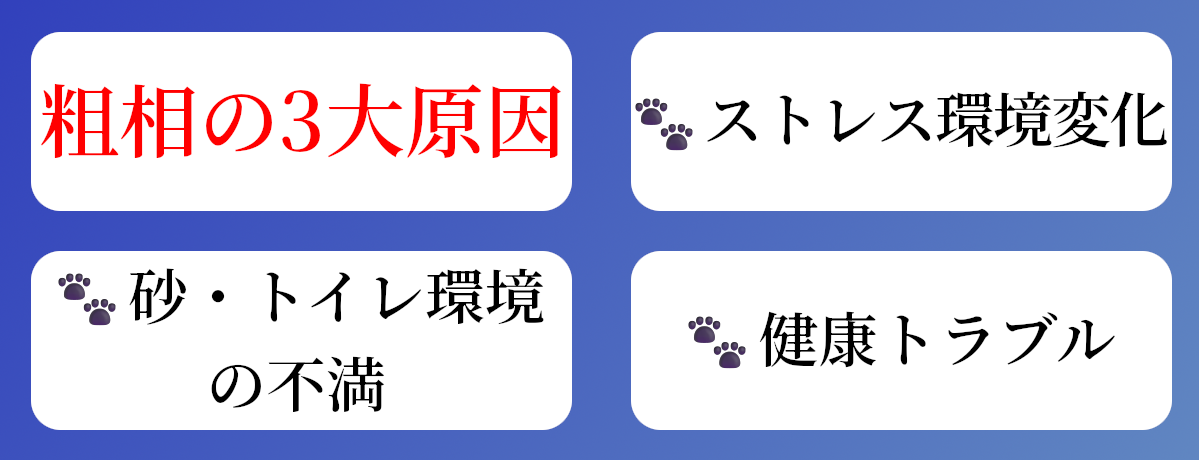粗相の3大原因