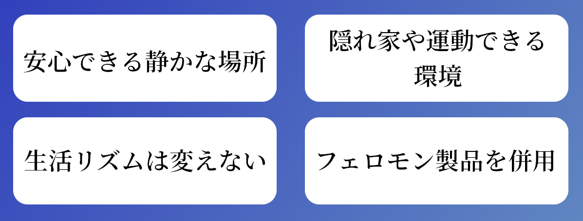猫の粗相原因別の改善ステップ