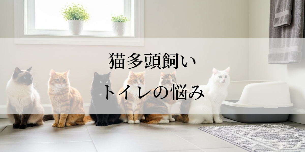 猫多頭飼いトイレの悩み