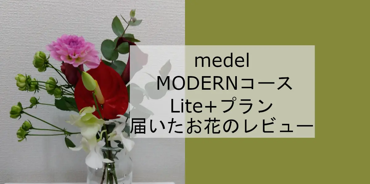 medeluMODERNコースLite+プラン