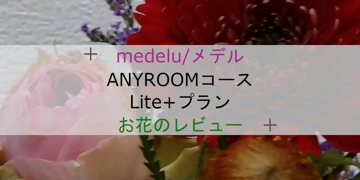 メデルANYROOMコースLite+プラン