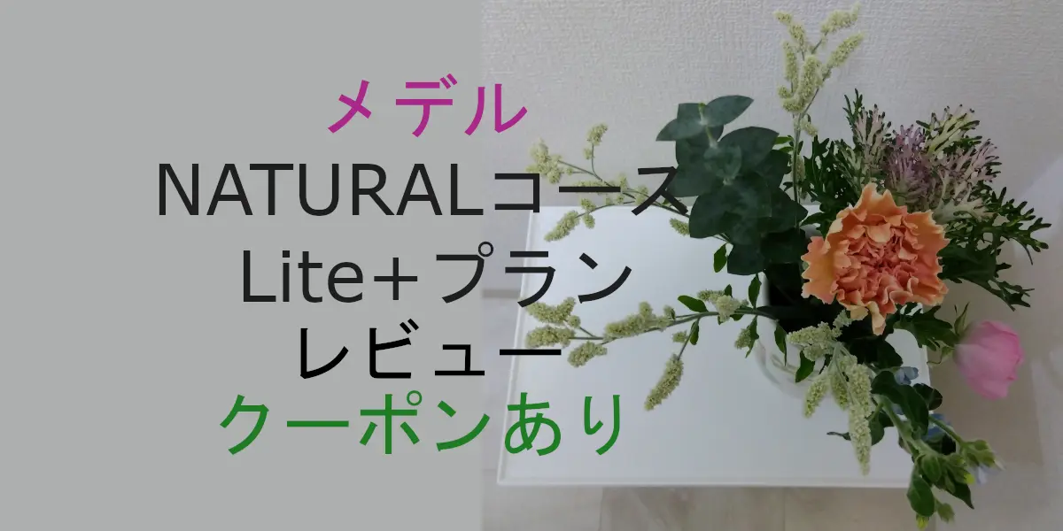 NATURALコース Lite+