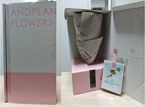 アンドプランツお花の定期便ラージサイズの箱