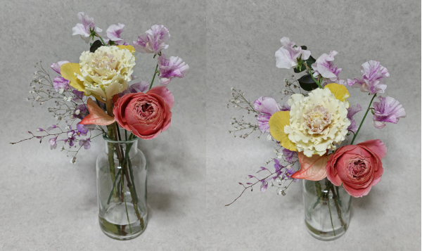 アンドプランツお花の定期便ラージサイズお花の経過