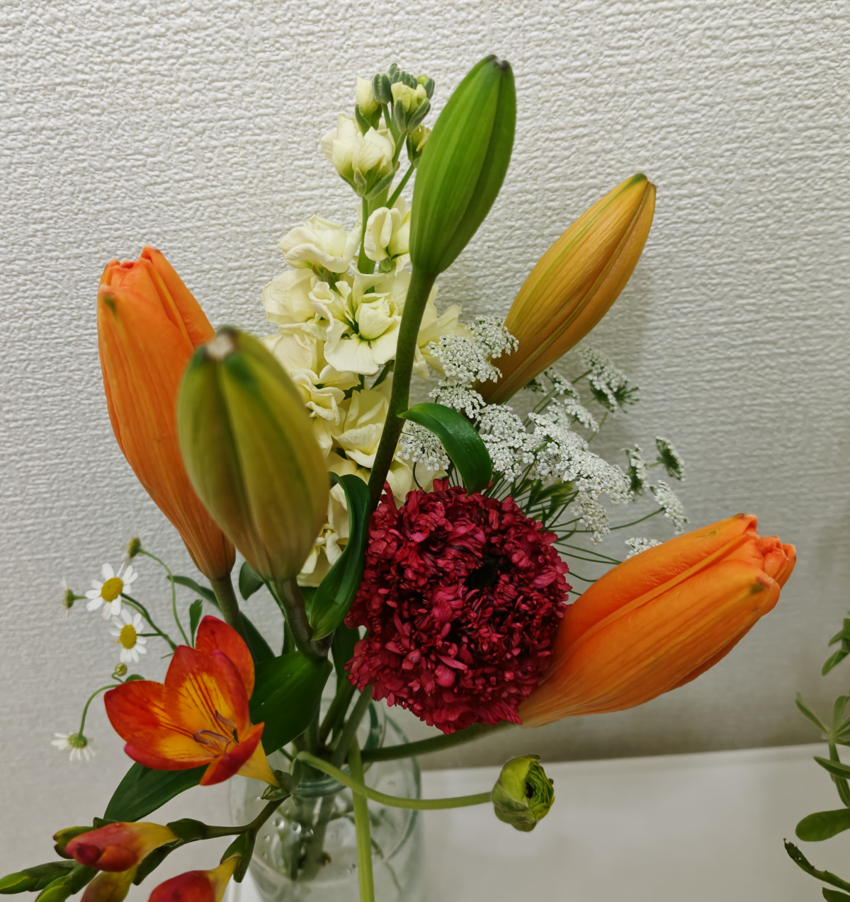 オレンジ色のユリの蕾