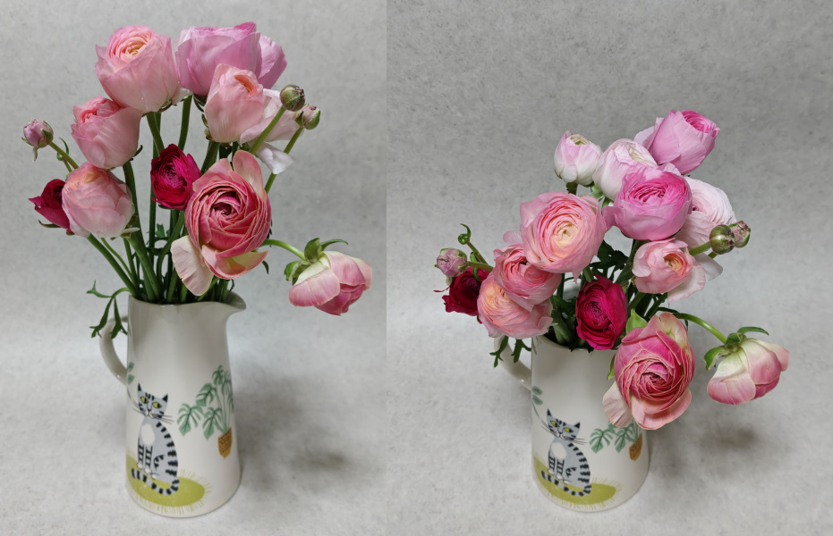 花びんに生けたFLOWERのロスレスブーケピンクアソートラナンキュラス