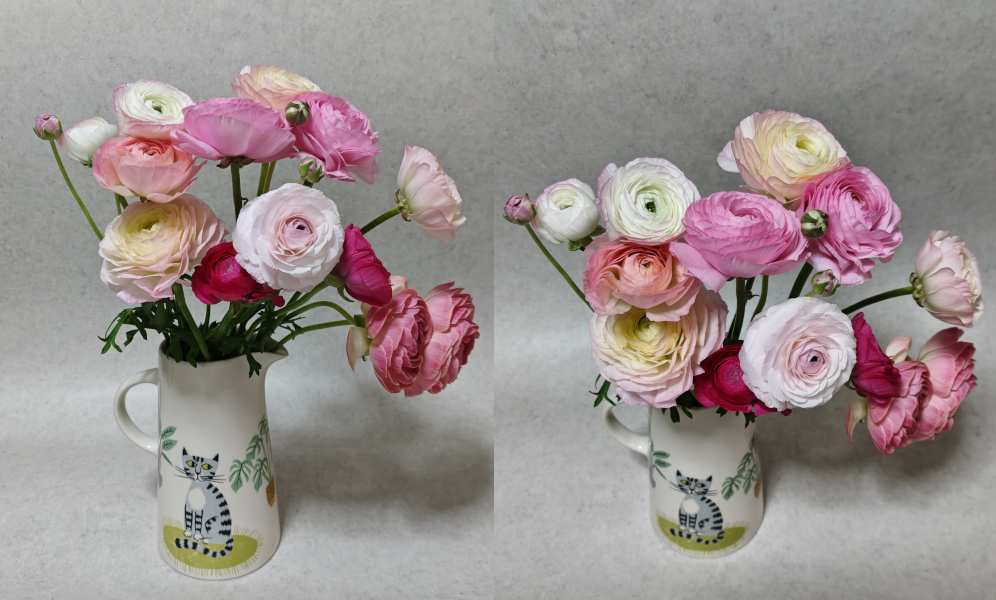 FLOWERロスレスブーケピンクアソートラナンキュラスが開いてきて可愛い