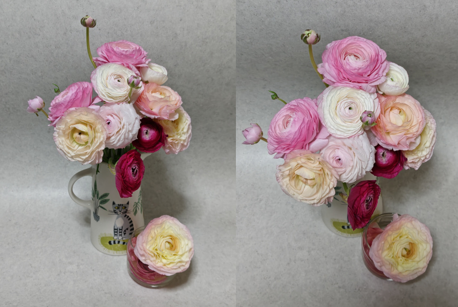 FLOWERロスレスブーケピンクアソートラナンキュラス満開かな