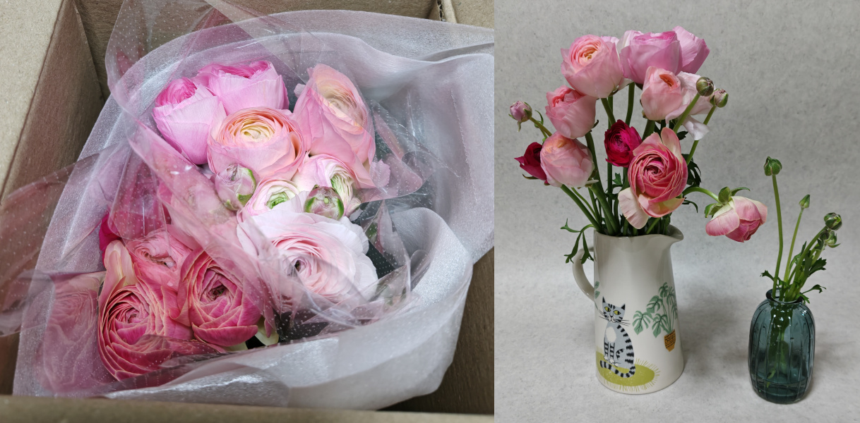 FLOWERロスレスブーケピンクアソートラナンキュラス開封