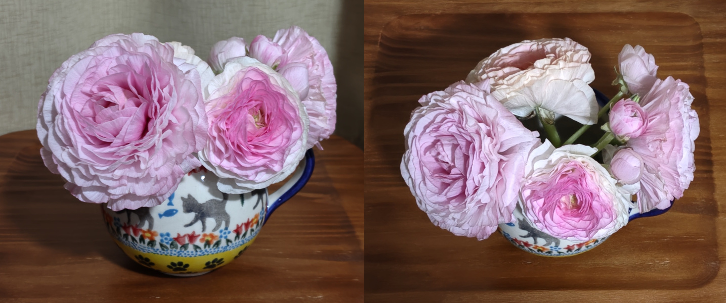 FLOWERロスレスブーケピンクアソートラナンキュラスマグカップに生ける