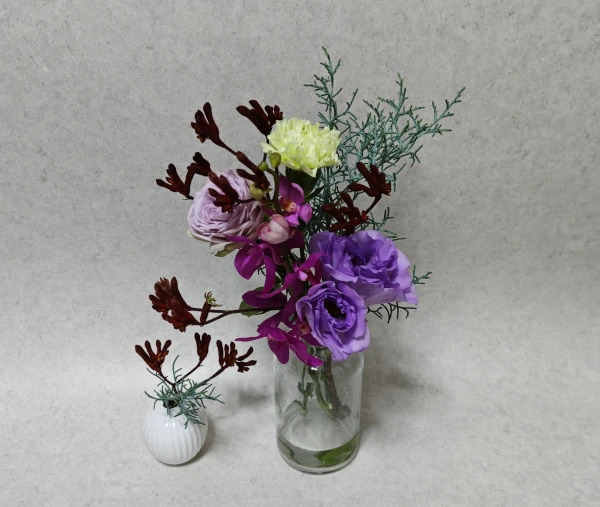 medeluMODERNコースLiteプラン