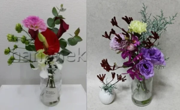 MODERNのLiteプランとLite+プラン比較