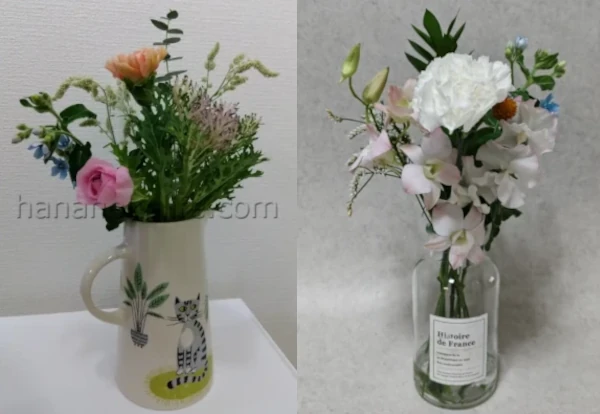 NATURALのLiteプランとLite+プラン比較