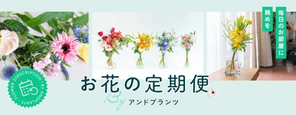 アンドプランツお花の定期便