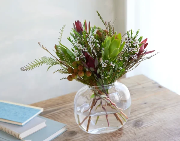 シーズンフラワーコース