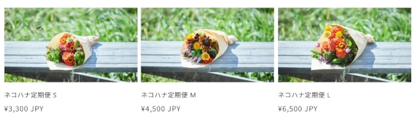 ネコハナ定期便